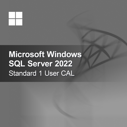 Microsoft SQL Server 2022 Standard 1 User CAL